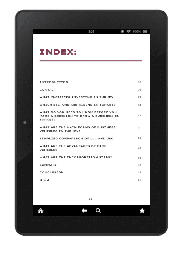 Ebook iPad